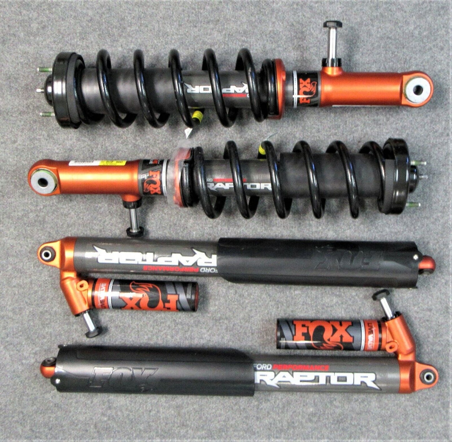 Ford Raptor Fox Shocks Rebuild